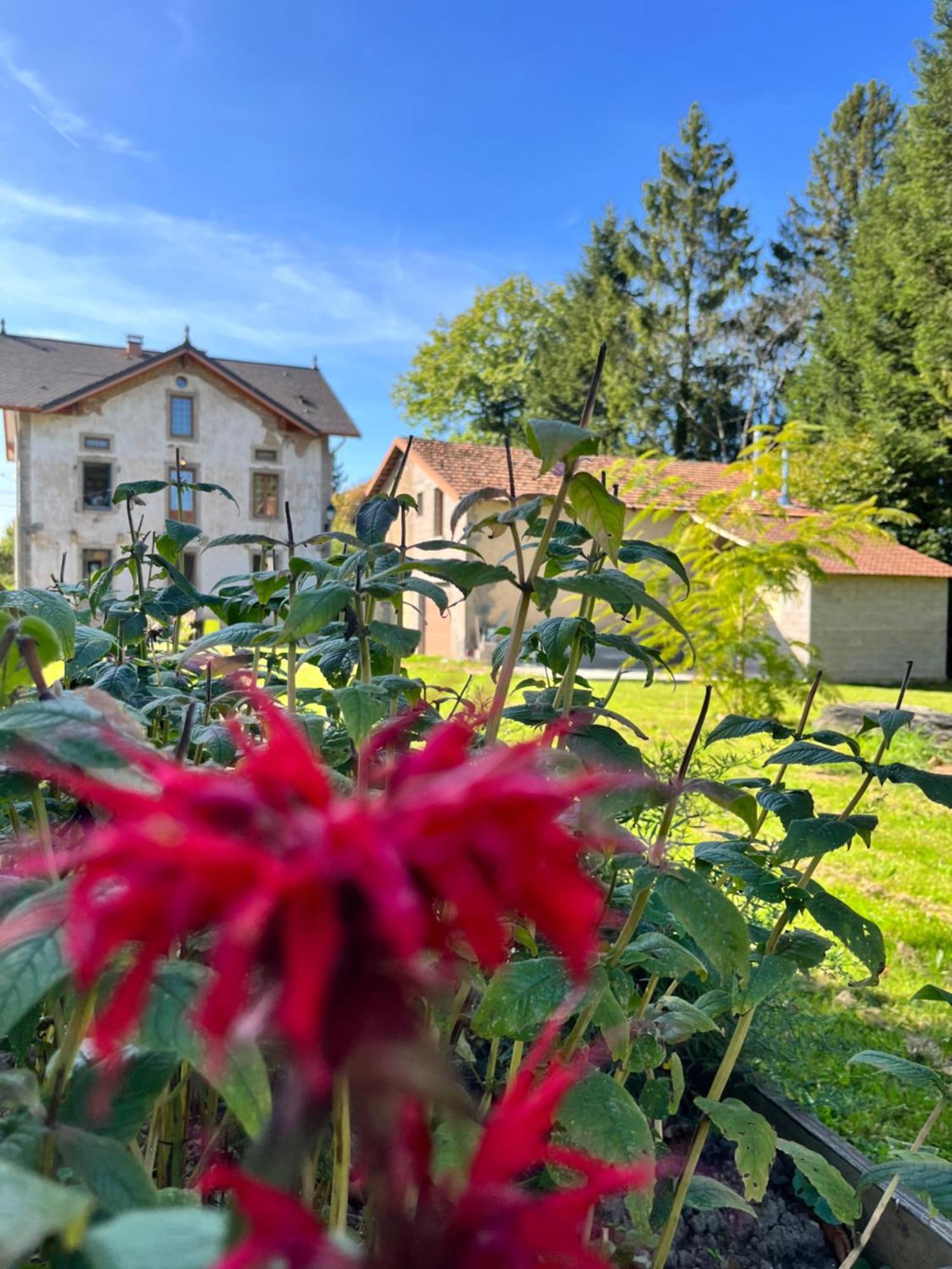 Chambre D'Hote Cosy Domaine Du Bagnerot La Chapelle-aux-Bois Екстер'єр фото